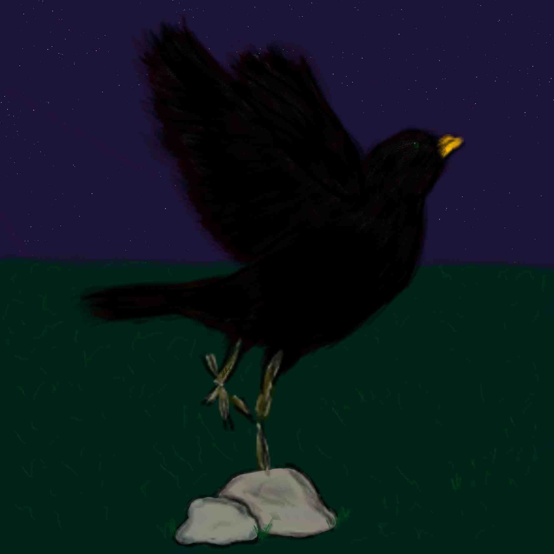 artwork titled 'Blackbird'